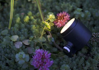 Outdoor Spotlights