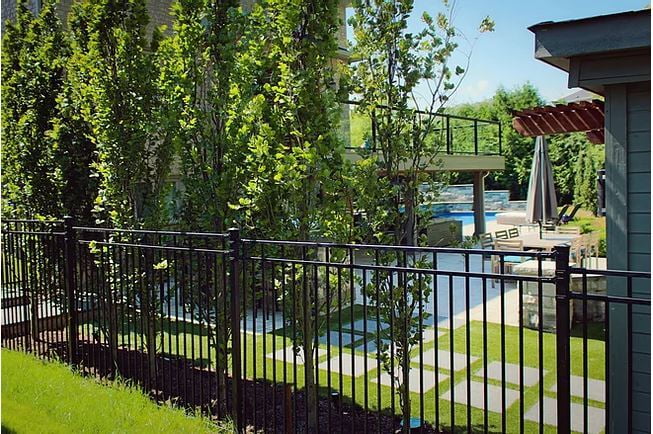 Benitoite Fencing