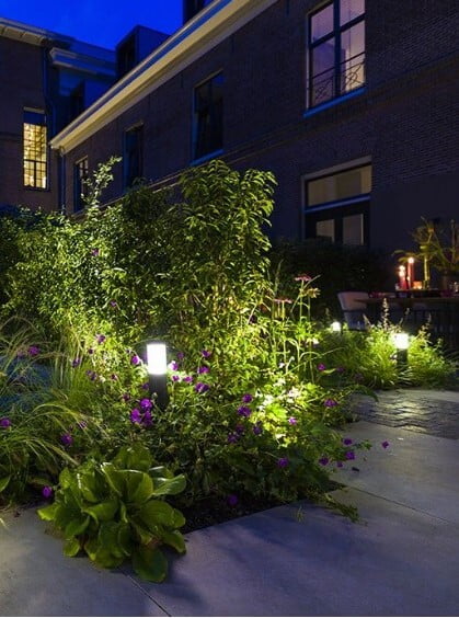 Landscape Lighting