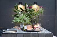inlite-HALO UP-DOWN DARK inlite-HALO UP-DOWN DARK