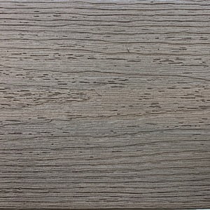 Fiberon Latte Fiberon Latte