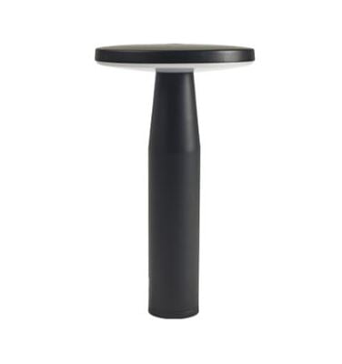 in-lite DISC LOW