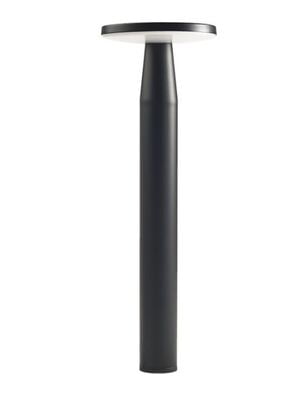 in-lite DISC